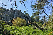 Mitten im ebenen Wald erheben sich mehrere-10-meterhohe Felsen.